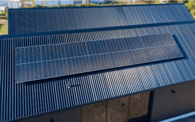 How to Build an Energy-Efficient Home